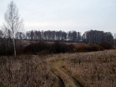Sonbaharda, bulutlu bir günde tarlada toprak yol.