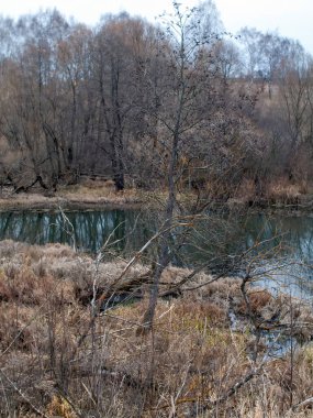 Sonbaharda, bulutlu bir günde, küçük bir orman nehrinin kıyısında.
