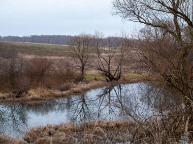 Sonbaharda, bulutlu bir günde, küçük bir orman nehrinin kıyısında.