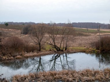 Sonbaharda, bulutlu bir günde, küçük bir orman nehrinin kıyısında.