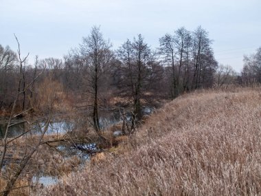 Sonbaharda, bulutlu bir günde, küçük bir orman nehrinin kıyısında.