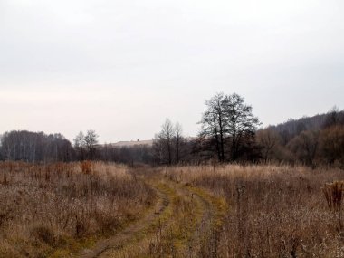 Sonbaharda, bulutlu bir günde tarlada toprak yol.