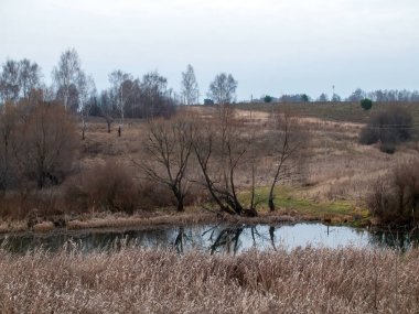 Sonbaharda, bulutlu bir günde, küçük bir orman nehrinin kıyısında.