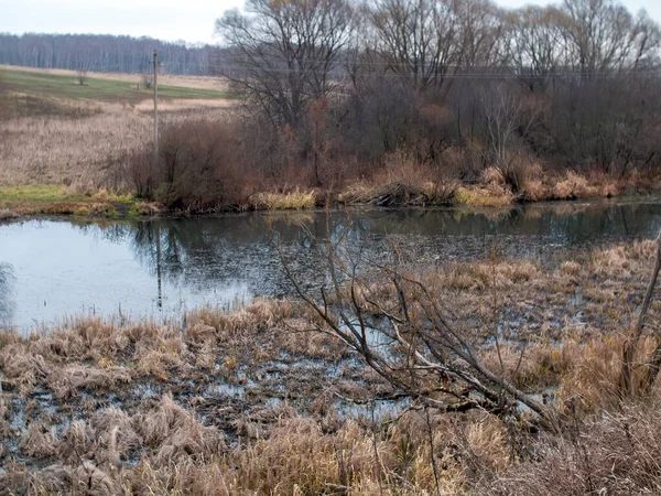 Das Ufer Eines Kleinen Waldflusses Einem Bewölkten Tag Herbst — Stockfoto