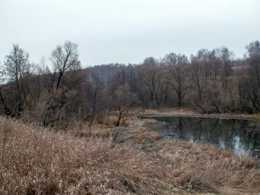 Sonbaharda, bulutlu bir günde, küçük bir orman nehrinin kıyısında.