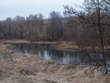 Sonbaharda, bulutlu bir günde, küçük bir orman nehrinin kıyısında.