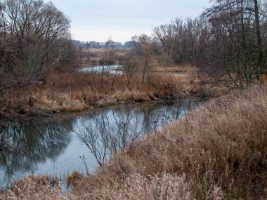 Sonbaharda, bulutlu bir günde, küçük bir orman nehrinin kıyısında.
