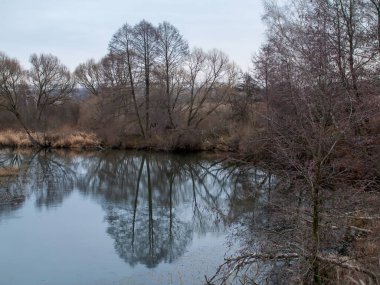 Sonbaharda, bulutlu bir günde, küçük bir orman nehrinin kıyısında.