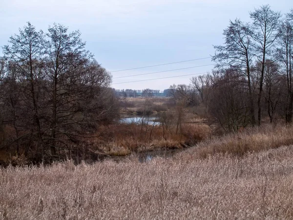 Sonbaharda, bulutlu bir günde, küçük bir orman nehrinin kıyısında.