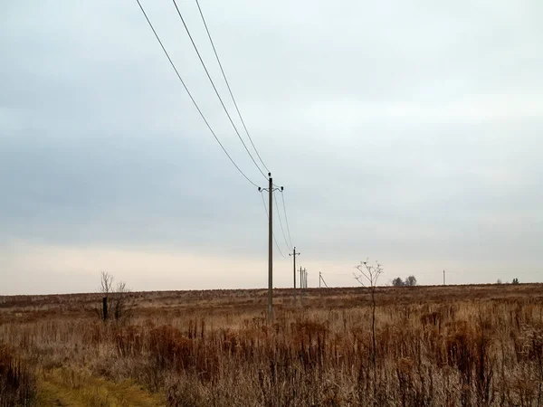 有电线的电杆矗立在田野里 — 图库照片