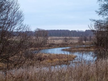 Sonbaharda, bulutlu bir günde, küçük bir orman nehrinin kıyısında.