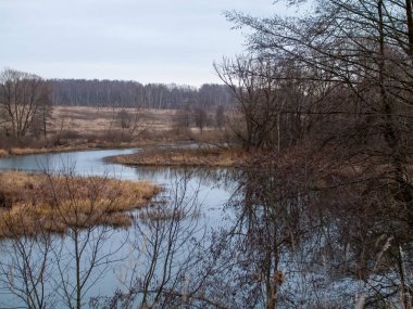 Sonbaharda, bulutlu bir günde, küçük bir orman nehrinin kıyısında.