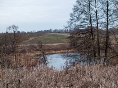 Sonbaharda, bulutlu bir günde, küçük bir orman nehrinin kıyısında.