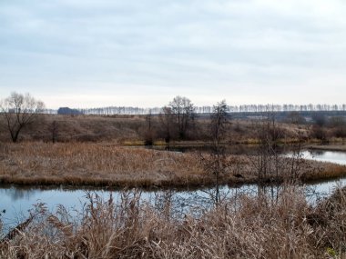 Sonbaharda, bulutlu bir günde, küçük bir orman nehrinin kıyısında.