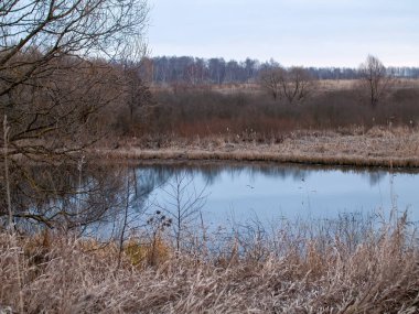 Sonbaharda, bulutlu bir günde, küçük bir orman nehrinin kıyısında.