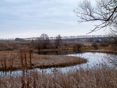 Sonbaharda, bulutlu bir günde, küçük bir orman nehrinin kıyısında.