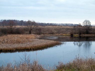 Sonbaharda, bulutlu bir günde, küçük bir orman nehrinin kıyısında.