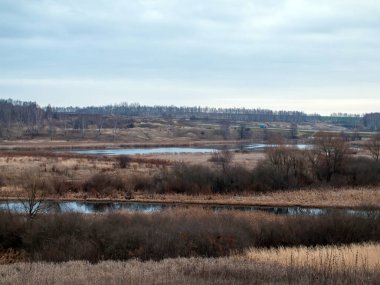 Sonbaharda, bulutlu bir günde, küçük bir orman nehrinin kıyısında.