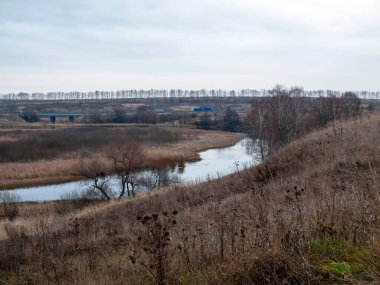 Sonbaharda, bulutlu bir günde, küçük bir orman nehrinin kıyısında.