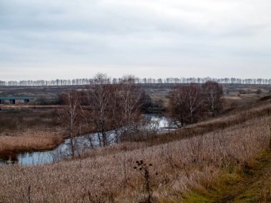 Sonbaharda, bulutlu bir günde, küçük bir orman nehrinin kıyısında.