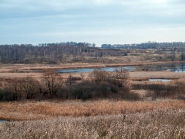 Sonbaharda, bulutlu bir günde, küçük bir orman nehrinin kıyısında.