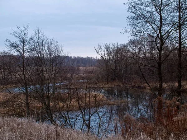 Sonbaharda, bulutlu bir günde, küçük bir orman nehrinin kıyısında.