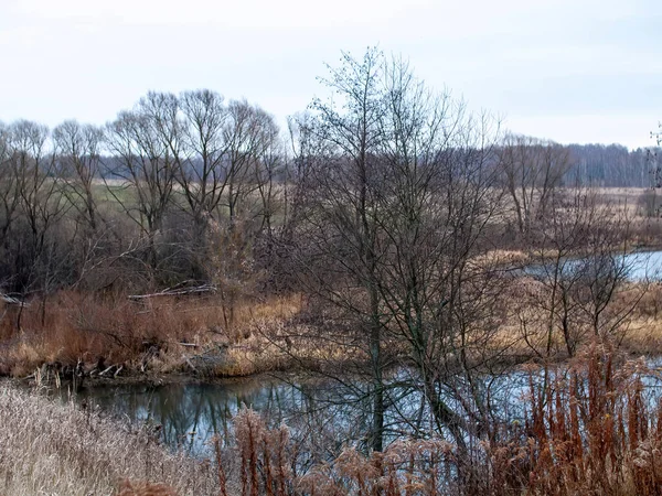 Sonbaharda, bulutlu bir günde, küçük bir orman nehrinin kıyısında.
