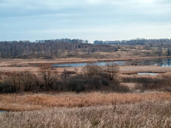 Sonbaharda, bulutlu bir günde, küçük bir orman nehrinin kıyısında.