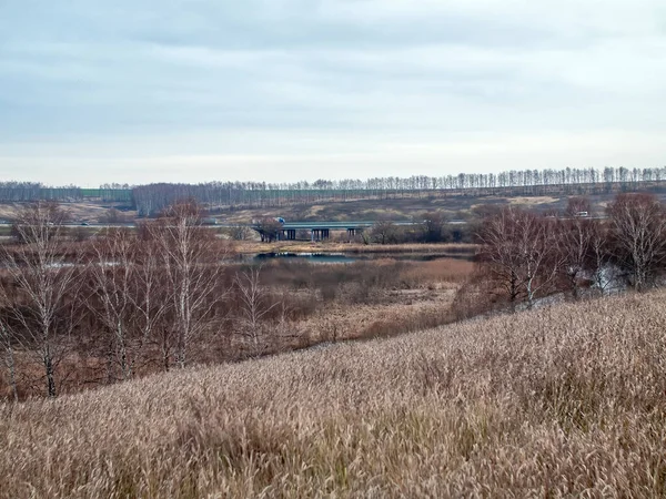 Sonbaharda, bulutlu bir günde, küçük bir orman nehrinin kıyısında.