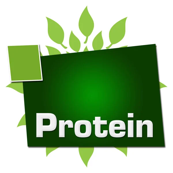 蛋白质文字写在绿色背景上 — 图库照片