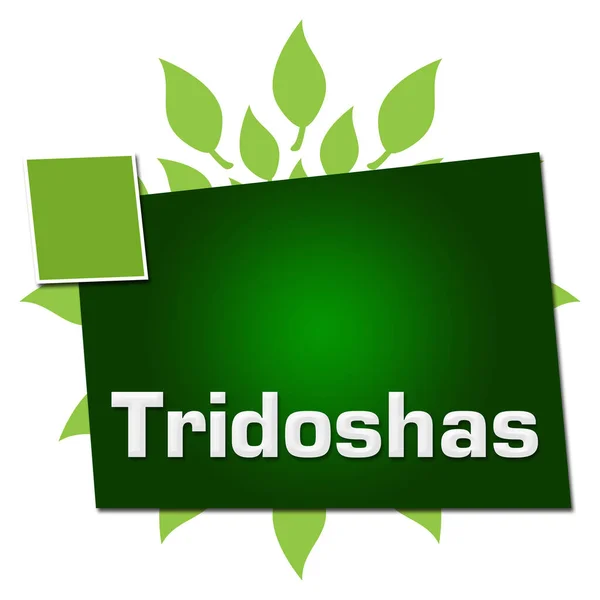Tridoshas Text Auf Grünem Hintergrund Mit Blättern Geschrieben — Stockfoto