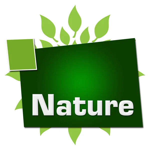 Natureza Texto Escrito Sobre Fundo Verde — Fotografia de Stock