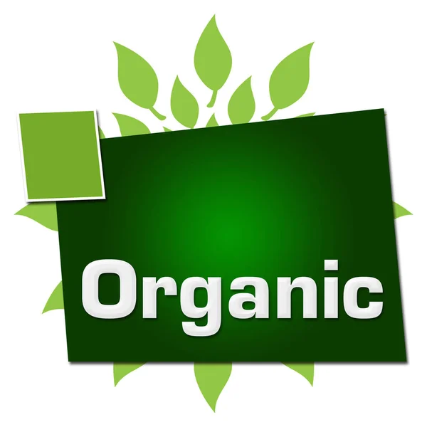 Organic Text Written Green Background — Stock Photo, Image