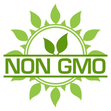 Yeşil arkaplan üzerinde metin olan gmo olmayan konsept resim.