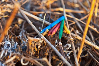 kuru ot üzerinde renkli kalemler