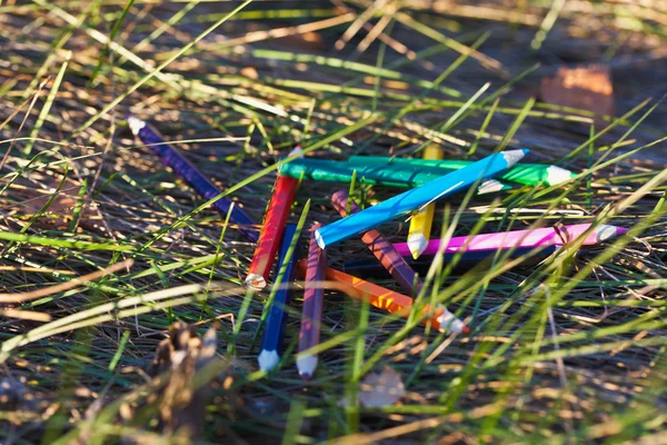 Lápices de colores en el bosque — Foto de Stock