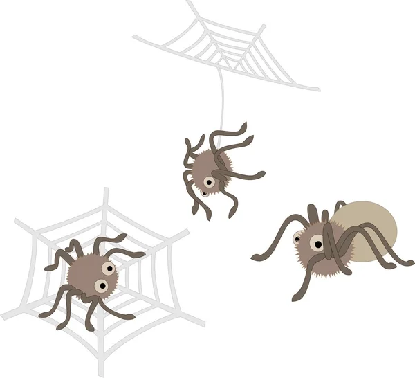 Schattig vector spinnen — Stockvector