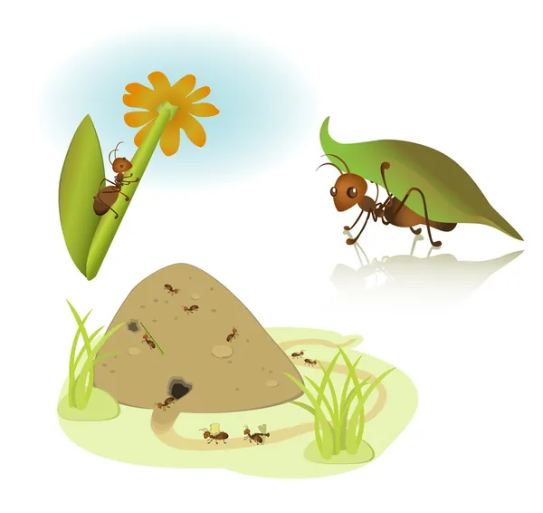 Vector cartoon ants — Stock Vector