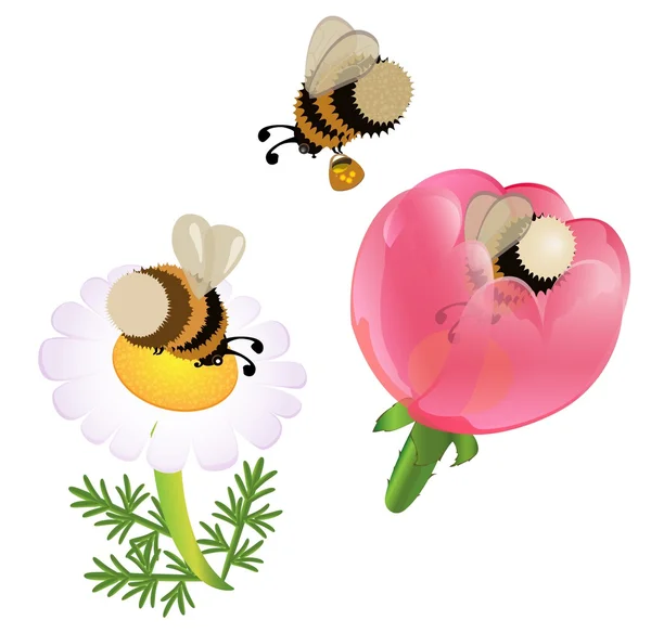 Vector cartoon bumblebees — Stock Vector