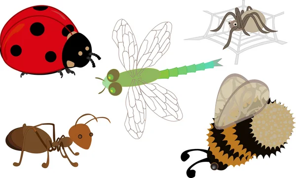 Un ensemble d'insectes de dessin animé mignons — Image vectorielle