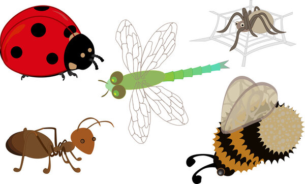 A set of cute cartoon insects