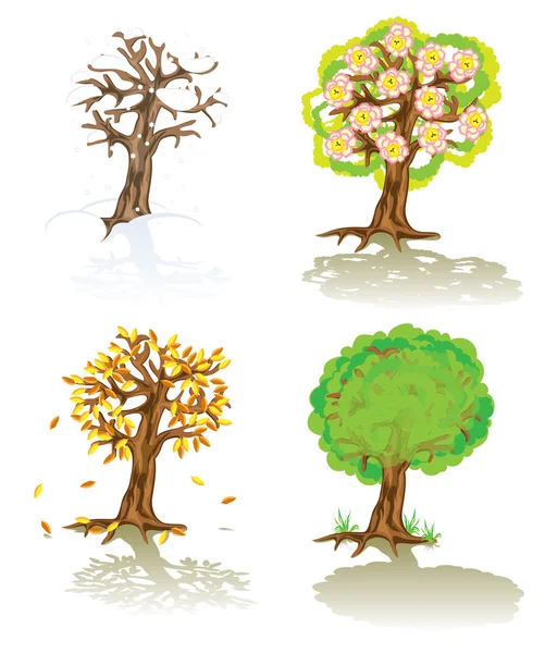 Vector trees of four seasons — Stock Vector