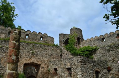 Polonya kale chojnik