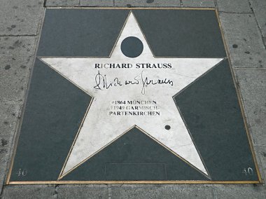yıldız strauss