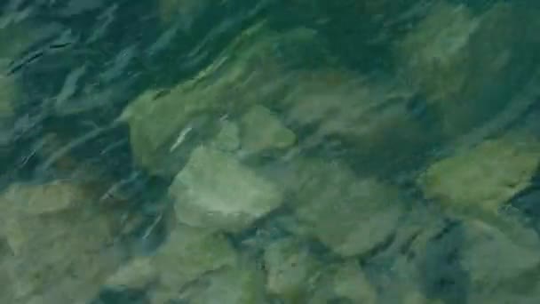 Прозора чиста вода з камінцями під нею — стокове відео