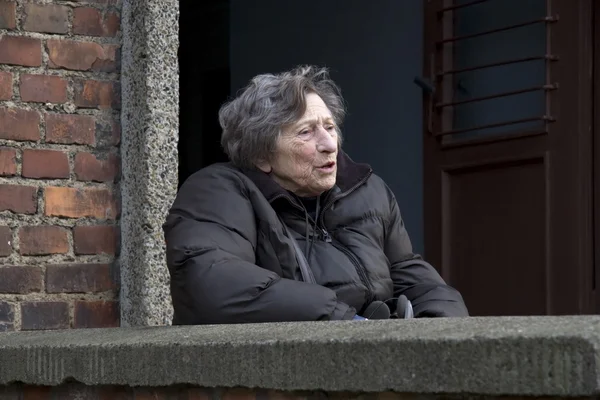 Holocaust survivor