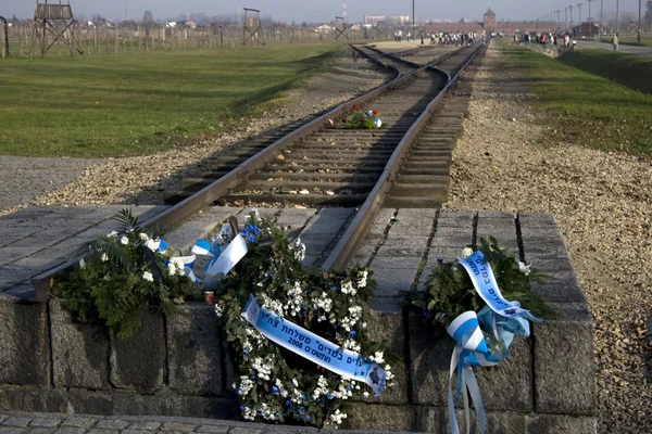 Comemoração de Israel Auschwitz — Fotografia de Stock