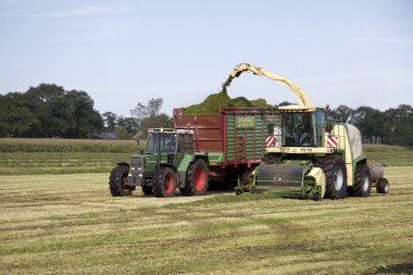 haymaking, Hollanda
