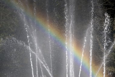 Arnhem, Hollanda park sonsbeek gölet çeşme gökkuşağı