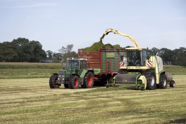 haymaking, Hollanda